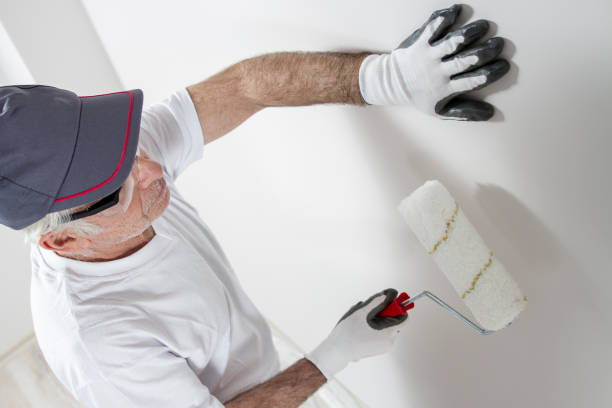 Best Basement Mold Removal  in Homer Glen, IL
