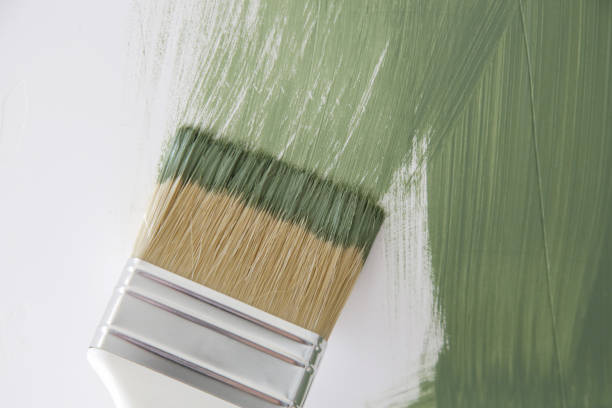 Trusted Homer Glen, IL Mold Removal Experts