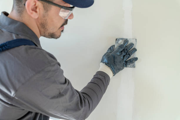 Best Comprehensive Air Testing for Mold Contaminants  in Homer Glen, IL