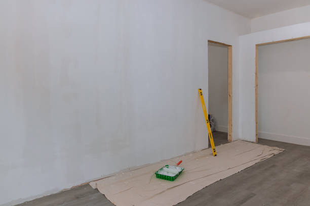 Best Attic Mold Removal  in Homer Glen, IL