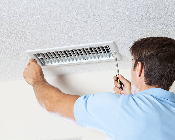 Best Asbestos and Lead Testing During Mold Inspection  in Homer Glen, IL