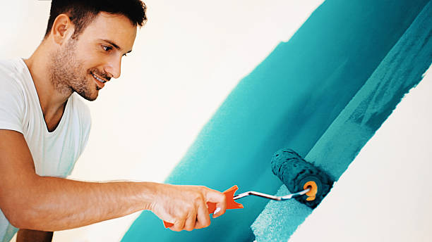 Best Mold Remediation for Healthcare Facilities  in Homer Glen, IL