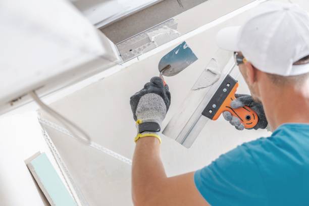 Environmental Consulting for Mold Prevention in Homer Glen, IL